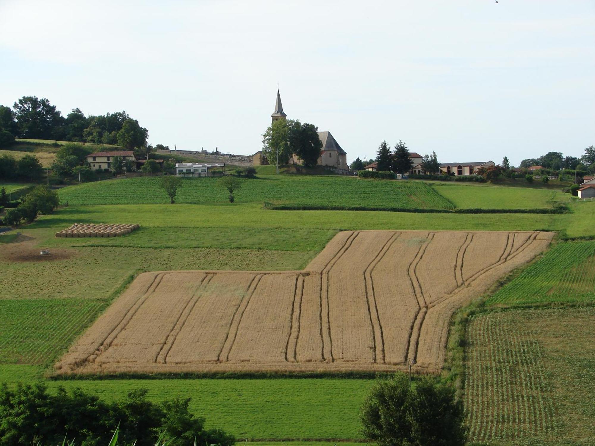 Gites Le Grand Jardin Puydarrieux Exterior photo